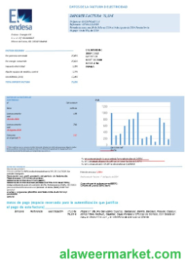 SPAIN ENDESA business utility bill Word and PDF template-pages1